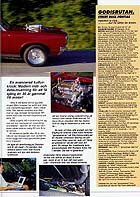 F�rstoring (211 kB)